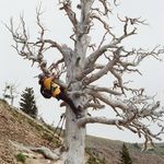 Duane Piper - @d__pipes - Instagram