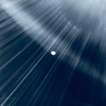 Duane Pitre - @duanepitre - Instagram