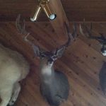 Duane Purcell - @dwizzle49 - Instagram