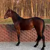 Duane Raber - @duane.raber - TikTok