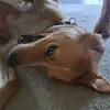 DuaneRamos - @yesengxf7cc - TikTok