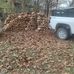 Duane Rippy - Facebook