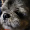 Duane Cogdal - @duane.richards56 - TikTok
