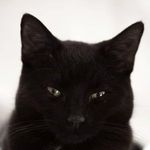 Nimbus Duane Rutledge - @nimbus_dr - Instagram