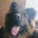 Duane Short - Facebook