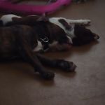 Kade.duane.short - @kade.duane.short - Instagram