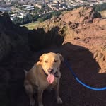 Diane Sorrell - @diane.sorrell.70 - Instagram