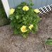 Duane Stearns - Facebook