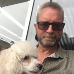 Duane - @duanestuart_archietoypoodle - Instagram