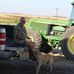 Duane Stuart - Facebook