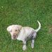Duane Sweat - Facebook