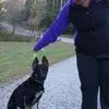 Duane Tabak - @duane.tabak - TikTok