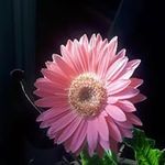 Duane Terrell - @duaney43 - Instagram