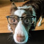 Duane Todd - @duanetodd - Instagram