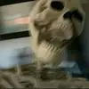 travis - @travis.duane - TikTok