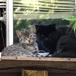 Duane Upton - @spork_and_beans - Instagram