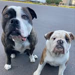 Duane Vasquez - @semipenguin - Instagram