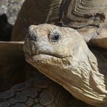 Duane Waller - @duane.waller - Instagram