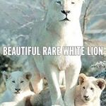 Duane Wallis - @wallisduane - Instagram