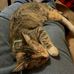 Duane Watson - Facebook