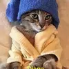 Diane Weller - @diane.weller2 - TikTok