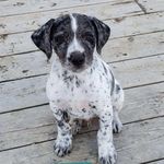 Duane Wisehart - @duanewisehart - Instagram