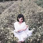 Duc Dam - @hongduc274 - Instagram