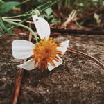 Đức Đinh - @dinhducbg123 - Instagram