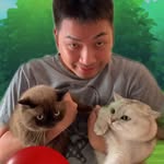 Duc Dinh - @adduc__ - Instagram