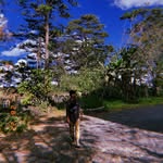 Duc Dinh - @dinhdinh191 - Instagram