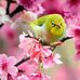 Duc Lai - Facebook