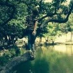 Đức Ngố - @huyenduc01 - Instagram