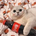 Đức Tăng - @_______duc___ - Instagram