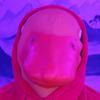 Duck Lee - @da_duck_boii - TikTok