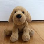Dudester Puppy - @dudester_puppy - Instagram
