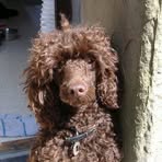 Dudley Barber-brindley - Facebook