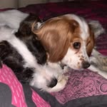 Dudley&Bella - @dudley.bella_ - Instagram