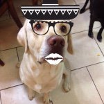 Dudley Campbell - @dudley_da_realist - Instagram