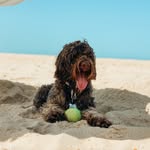 Dudley•Carpenter.pwd - @dudley_carpenterpwd - Instagram