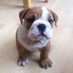 Dudley-Carter Stephenson - @thatboyduds - Instagram