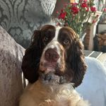 Dudley Clark - @tarmacers100 - Instagram