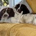 Dudley Clark - Facebook
