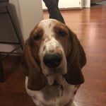 Dudley Clark - @studleyduds - Instagram