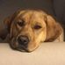 Dudley Clark - Facebook