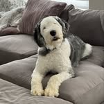 Dudley Davidson - @oes_dudleydavidson - Instagram