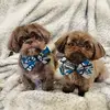 Dudley&DozerShow - @dudleyanddozershow - TikTok