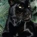 Durey Gibson - Facebook