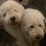 Dudley & Nelson Green - @dudley_nelson_oes - Instagram
