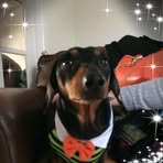 Dudley Green - Facebook