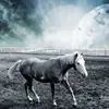 greenawaydudley7329 - @greenawaydudley7329 - TikTok